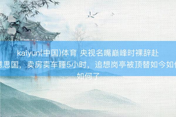 kaiyun(中国)体育 央视名嘴巅峰时裸辞赴好意思国，卖房卖车睡5小时，追想岗亭被顶替如今如何了