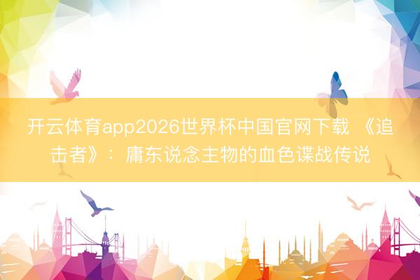 开云体育app2026世界杯中国官网下载 《追击者》：庸东说念主物的血色谍战传说