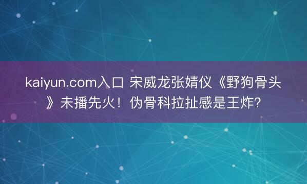 kaiyun.com入口 宋威龙张婧仪《野狗骨头》未播先火!伪骨科拉扯感是王炸?