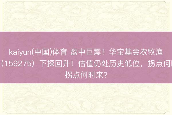 kaiyun(中国)体育 盘中巨震！华宝基金农牧渔ETF（159275）下探回升！估值仍处历史低位，拐点何时来？