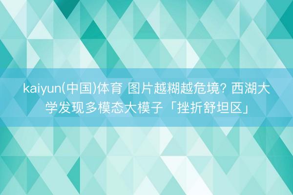 kaiyun(中国)体育 图片越糊越危境? 西湖大学发现多模态大模子「挫折舒坦区」